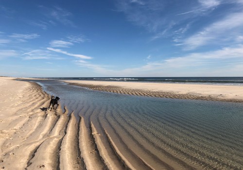The Best Beaches in Suffolk County to Visit This Summer